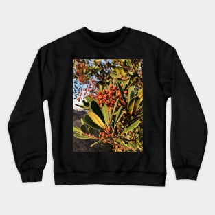 Bright Red Berries in a California Park Crewneck Sweatshirt